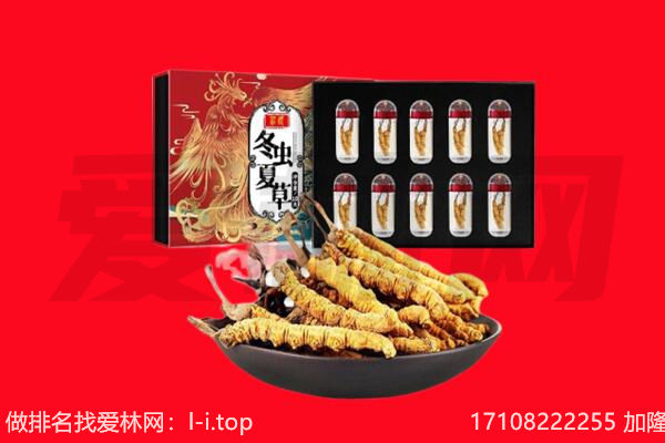 易县回收虫草.jpg